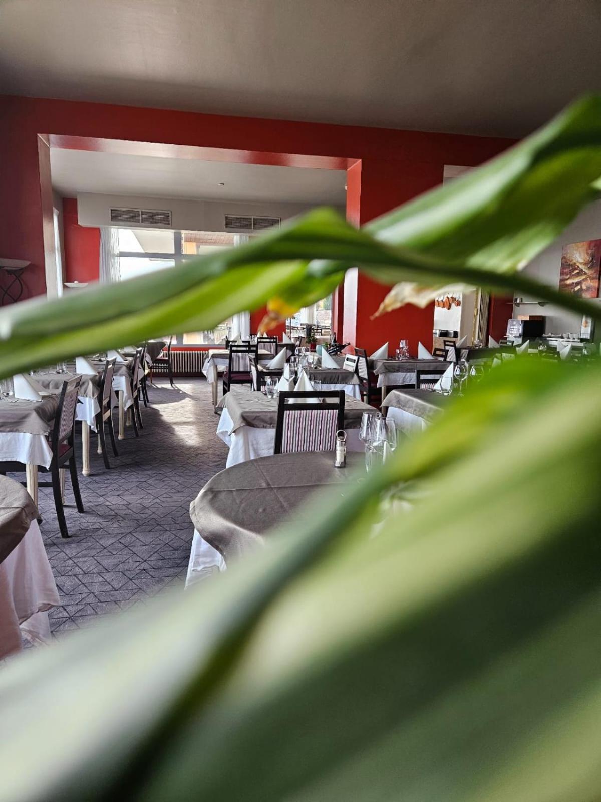 Alexain Hotel Restaurant & Wellness - Colmar Ouest トロワ・エピ エクステリア 写真